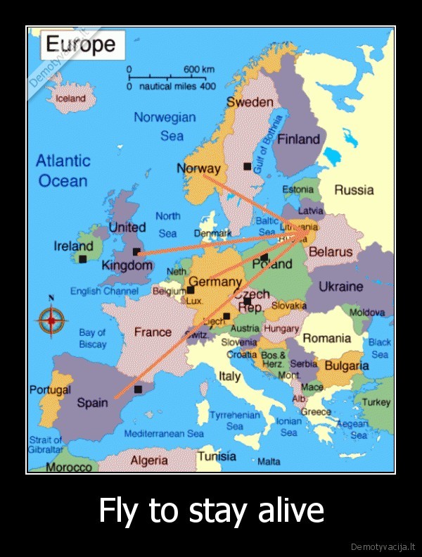reik, dingt, is, lietuvos