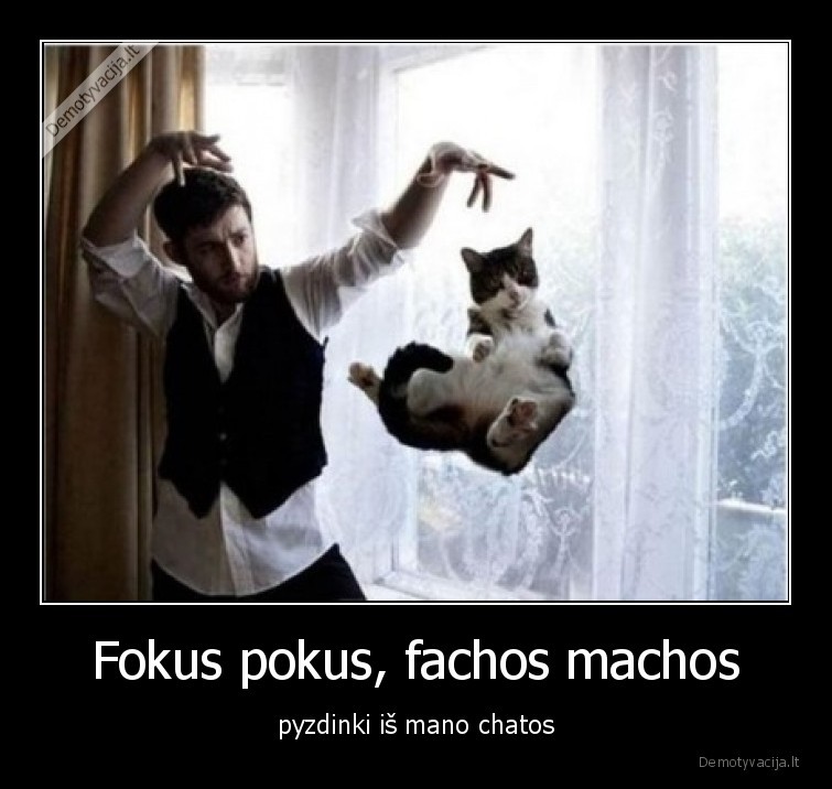 katinelis,katinas,fokusas,magija