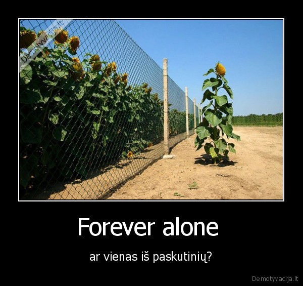 Forever alone 