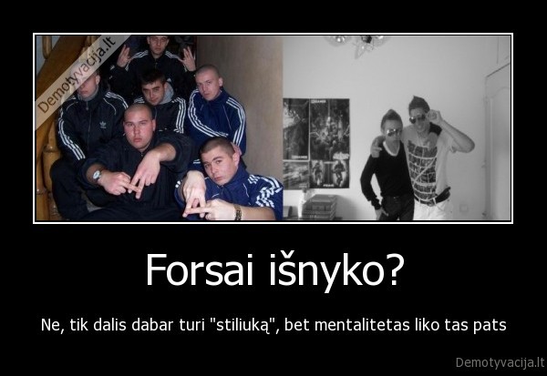gezai,forsai,fyfinai,metroseksualai