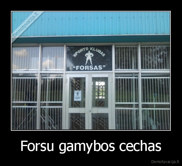 cia, gimsta, forsai
