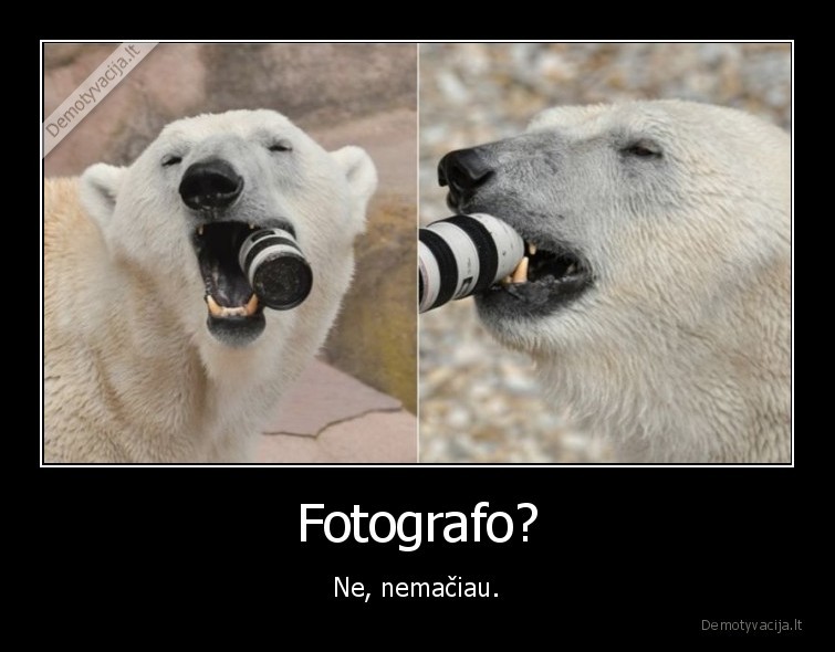 meska,fotoaparatas