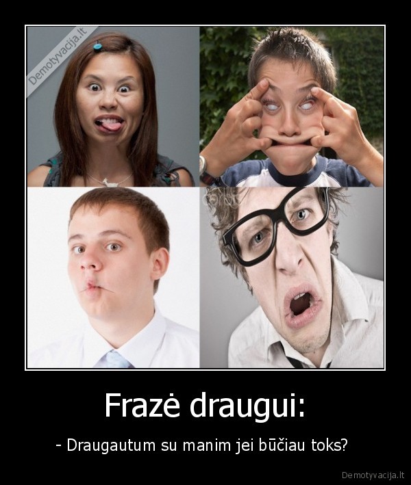 vaipalynes