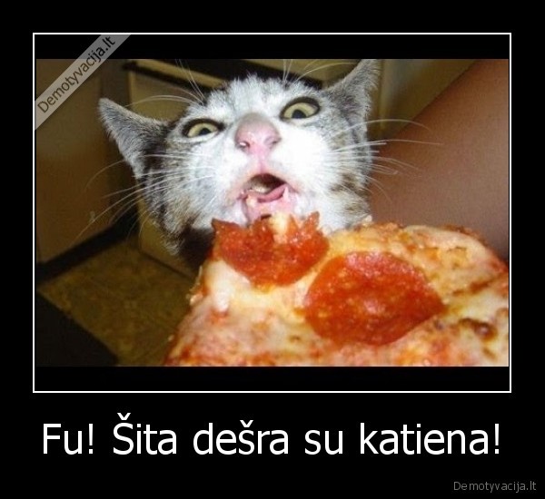 Fu! Šita dešra su katiena!