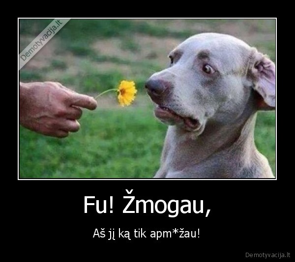 suo,gele
