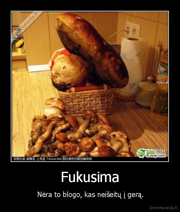 grybai,paterle,fukusima