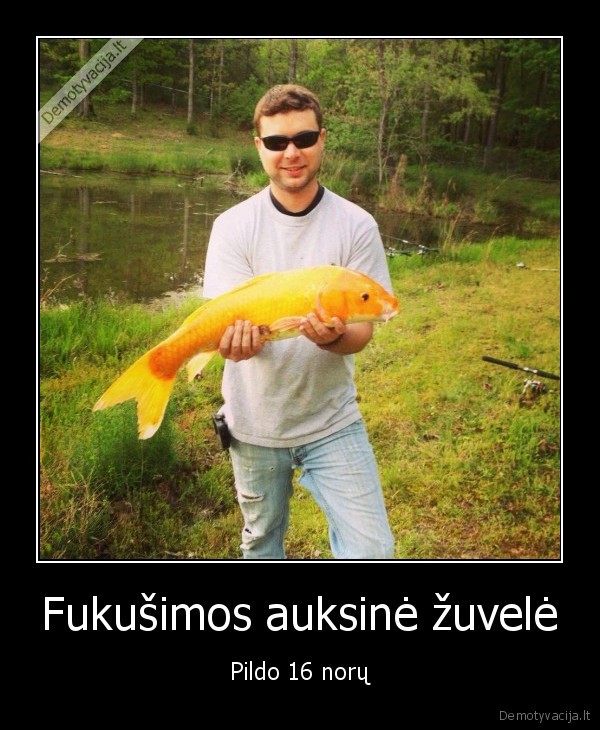 zuvis,auksas,norai,auksine, zuvele,radiacija
