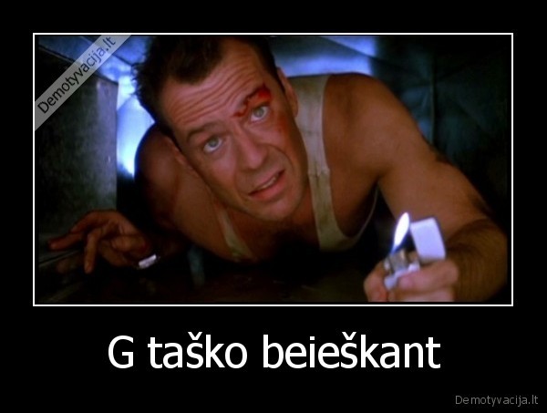 G taško beieškant