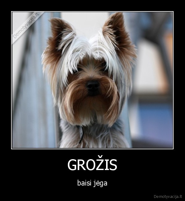 GROŽIS