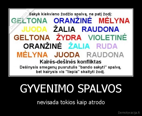 tik, zodziai