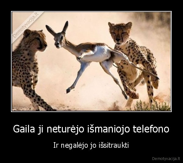 nepasiseke,biski