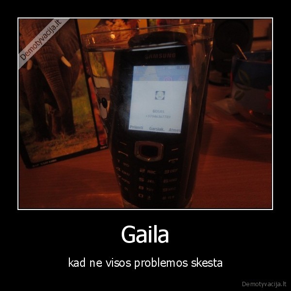 Gaila