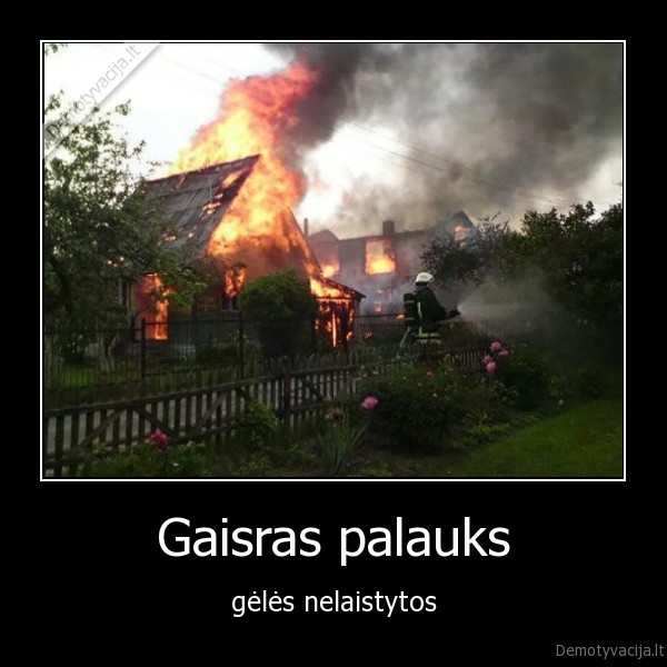 Gaisras palauks