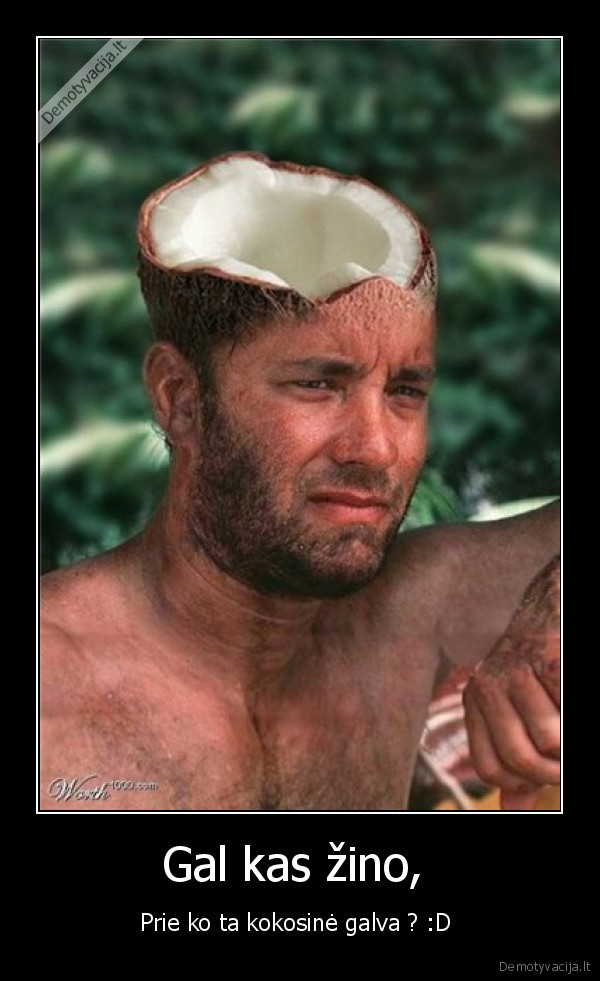 Gal kas žino, 