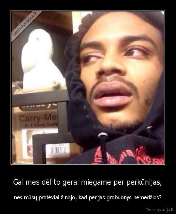 perkunija,proteviai,medziokle,meigas