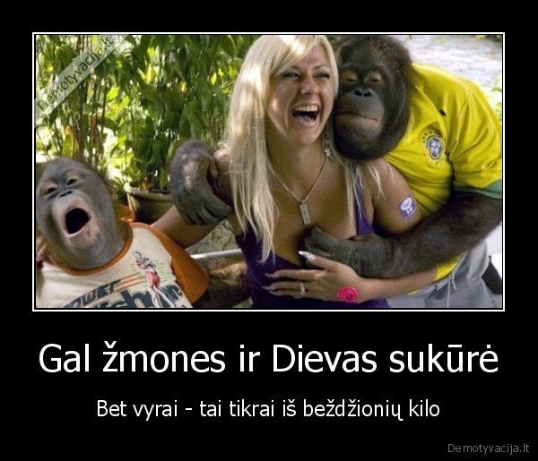bezdziones,kietos, bezdziones,papai