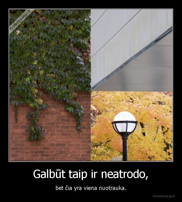 nuotrauka,viena,wtf
