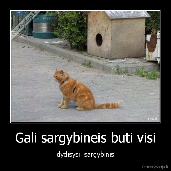 Gali sargybineis buti visi