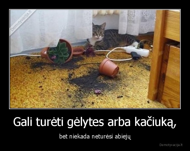 kaciukas,gelytes,neturesi,abieju
