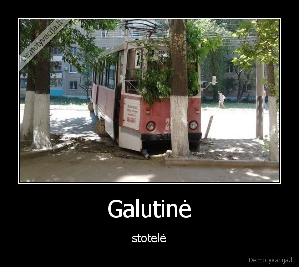 stotele,galas