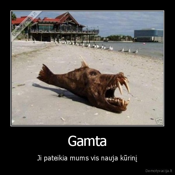 Gamta