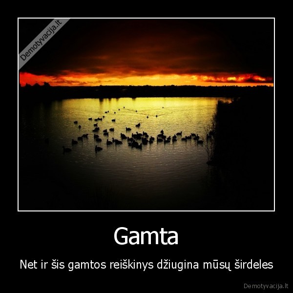 Gamta
