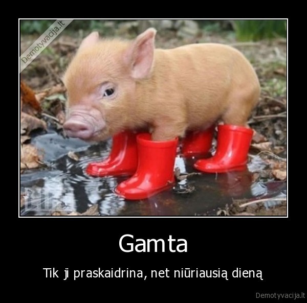 gamta,diena
