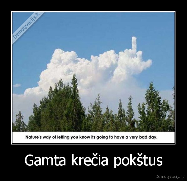 gamta,debesys,medziai