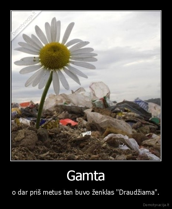 Gamta