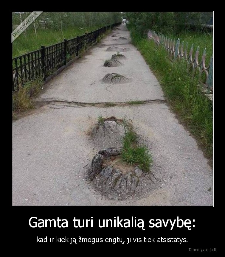 gamta,zmogus,engimas