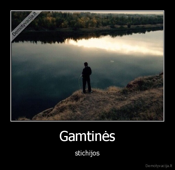 myza,gamta