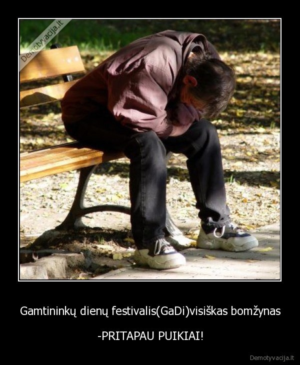 festivalis,festas