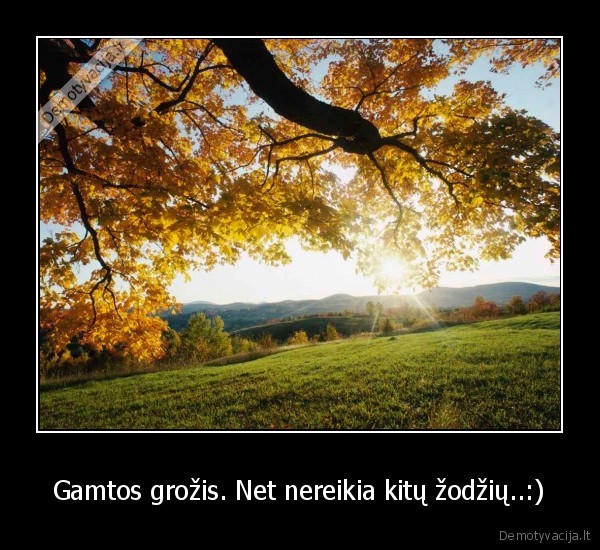 gamta