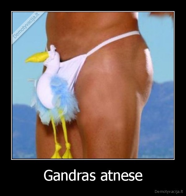 Gandras atnese