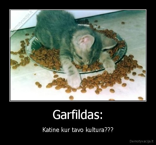 Garfildas:
