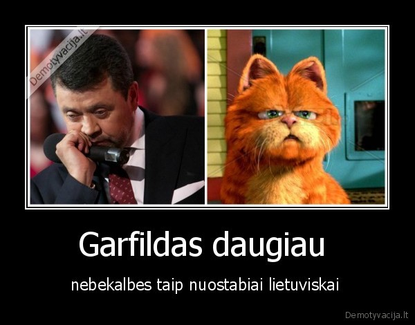 Garfildas daugiau 
