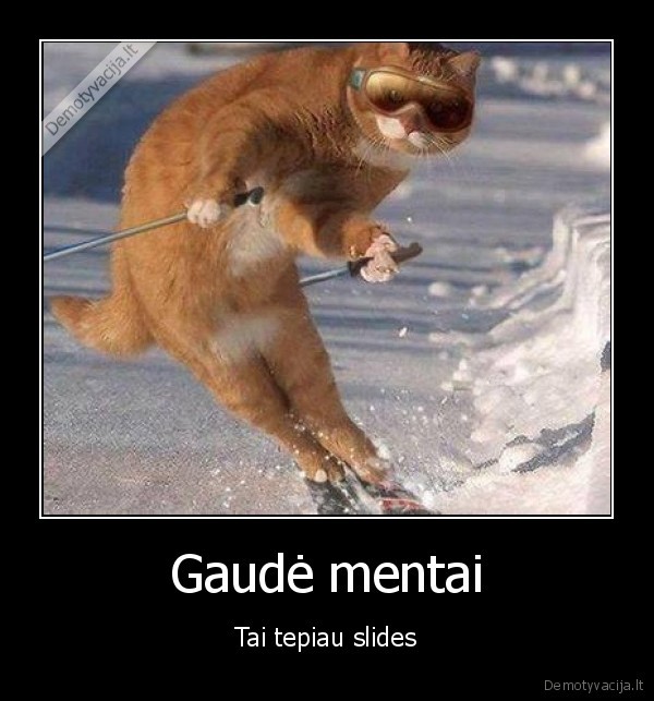 tepe, slides,katinas, ant, slidziu