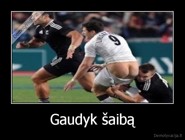 Gaudyk šaibą