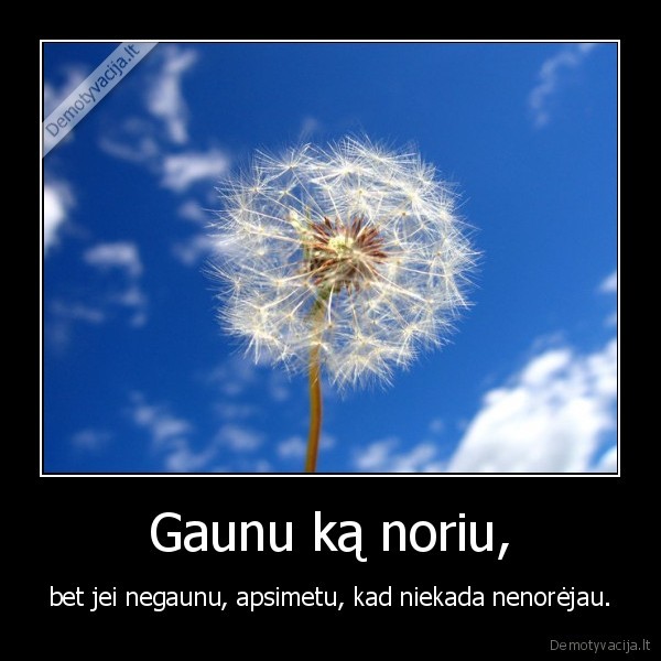 norai