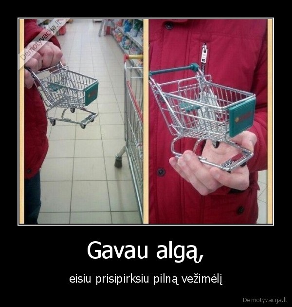 vezimelis