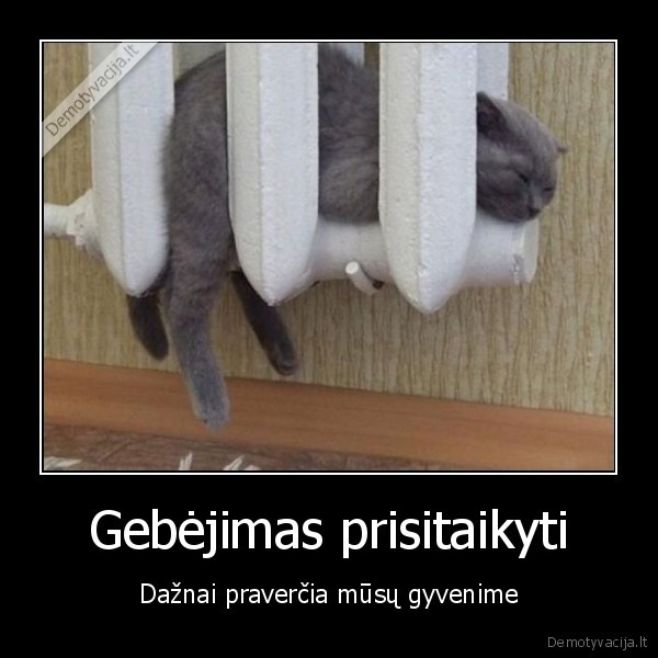 Gebėjimas prisitaikyti