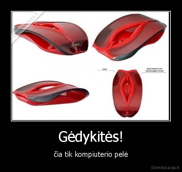 Gėdykitės!