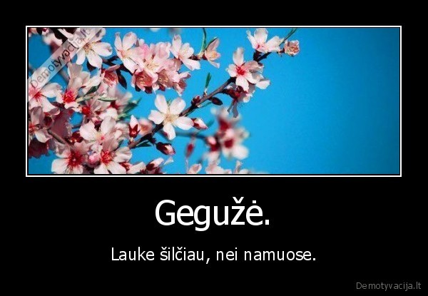 silta,namuose,lauek