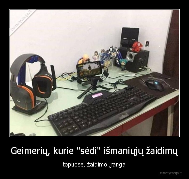 geimeriai,ismanieji,zaidimai,iranga,ausines,telefonai,topuose