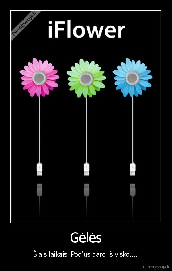 gele, ipod