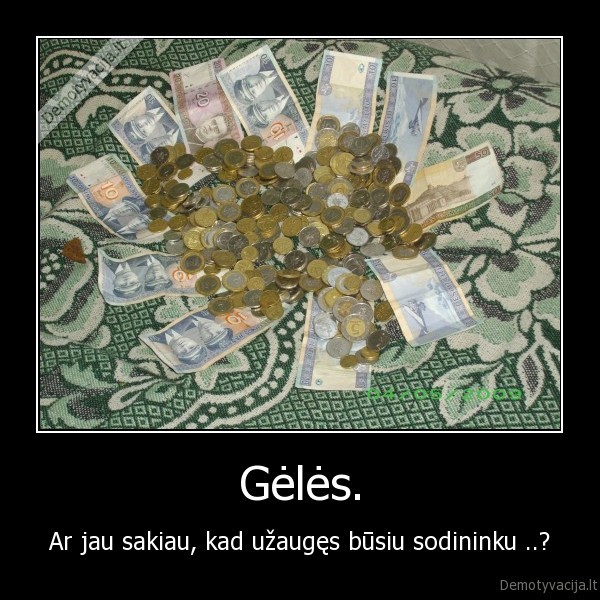 Gėlės.