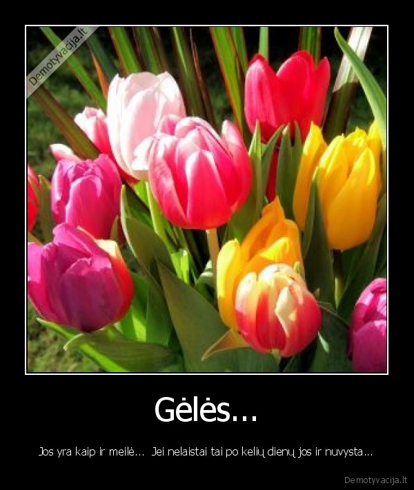 Gėlės...