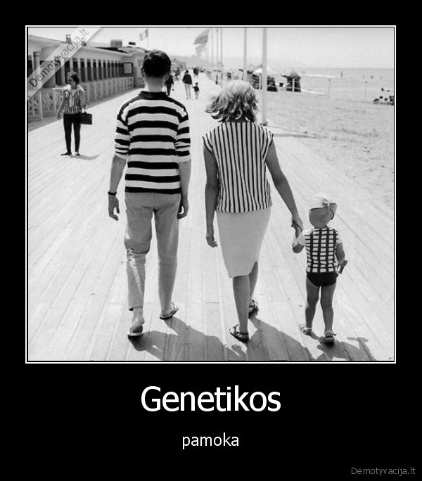 genetika