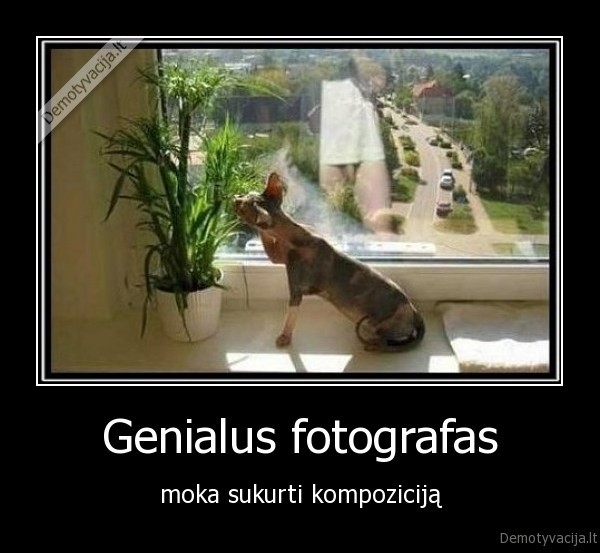 Genialus fotografas