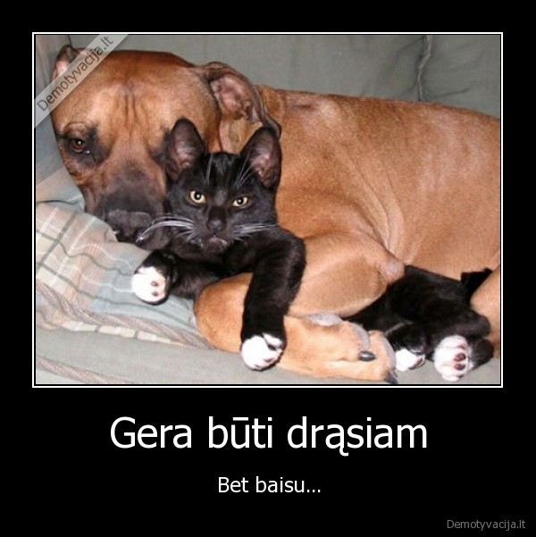 Gera būti drąsiam